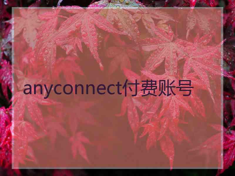 anyconnect付费账号