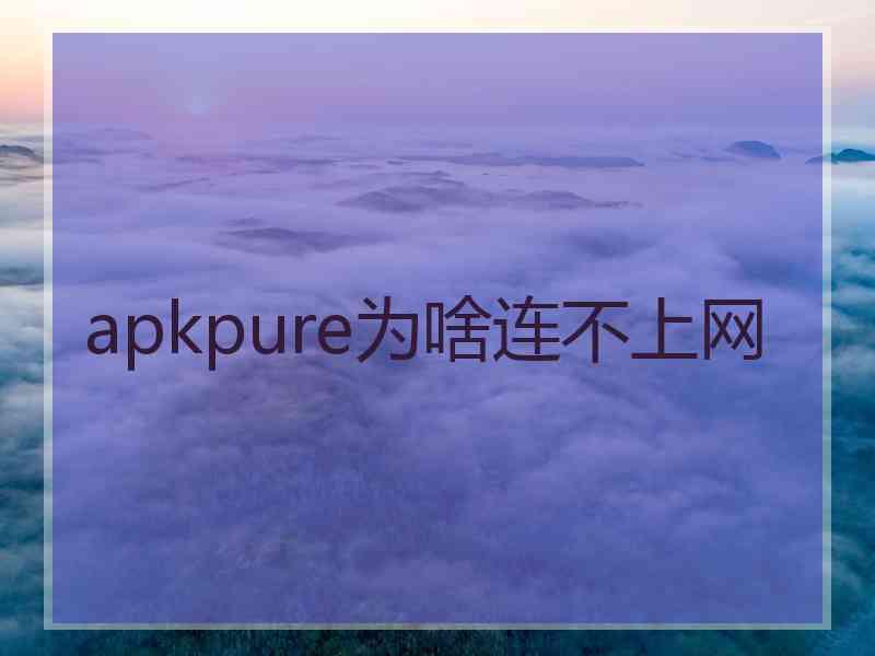 apkpure为啥连不上网