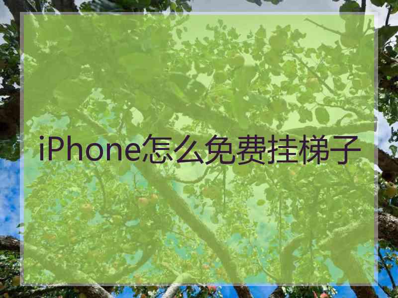 iPhone怎么免费挂梯子