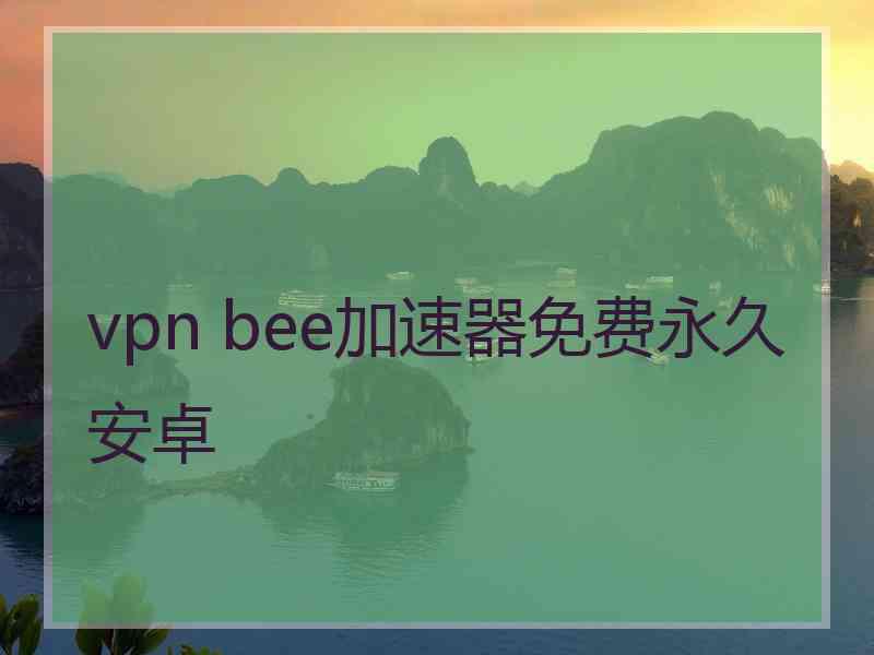 vpn bee加速器免费永久安卓