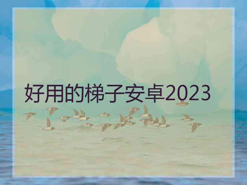 好用的梯子安卓2023