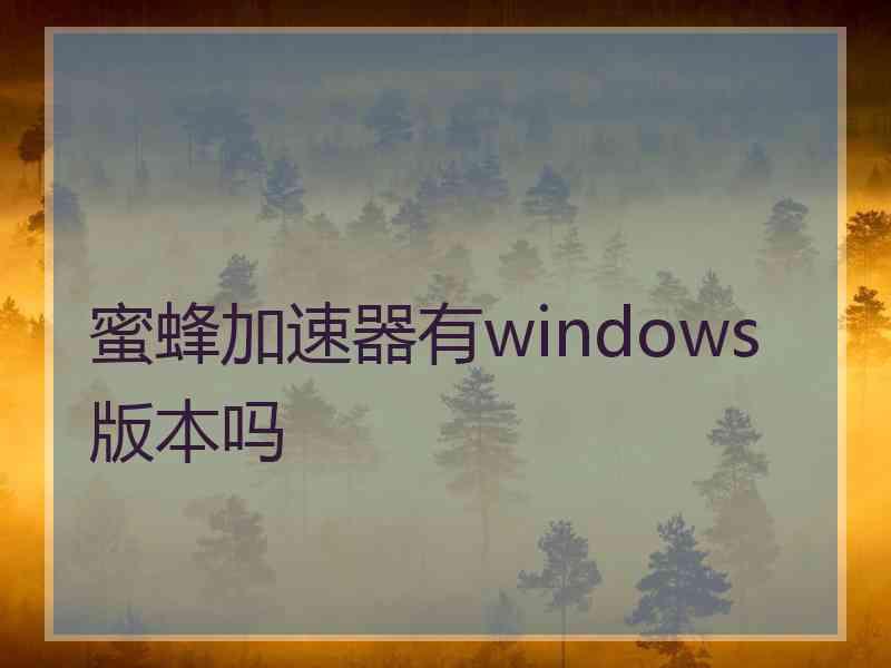 蜜蜂加速器有windows版本吗