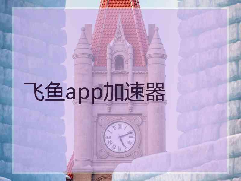 飞鱼app加速器