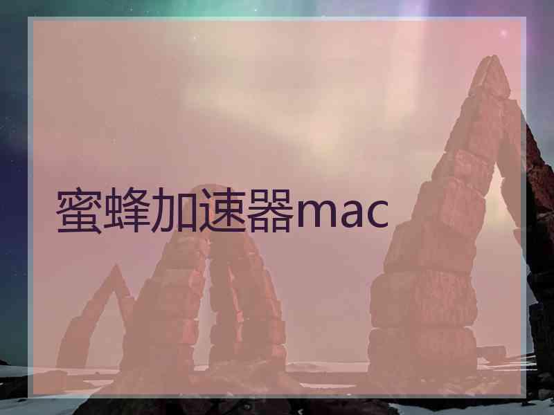 蜜蜂加速器mac