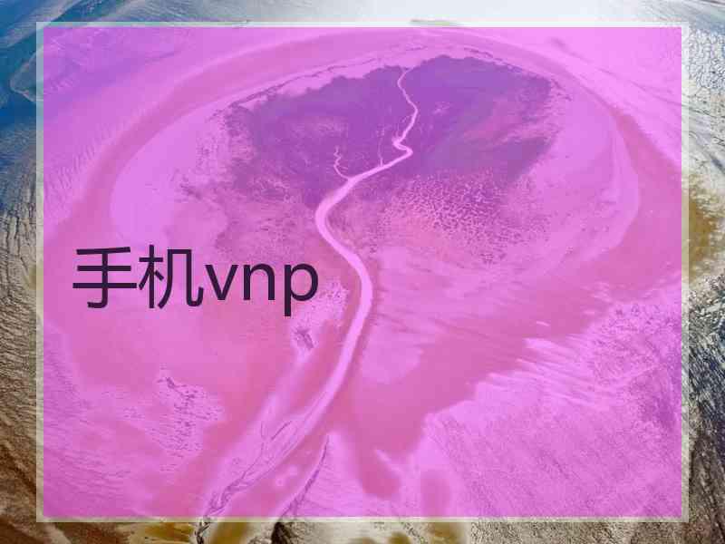 手机vnp