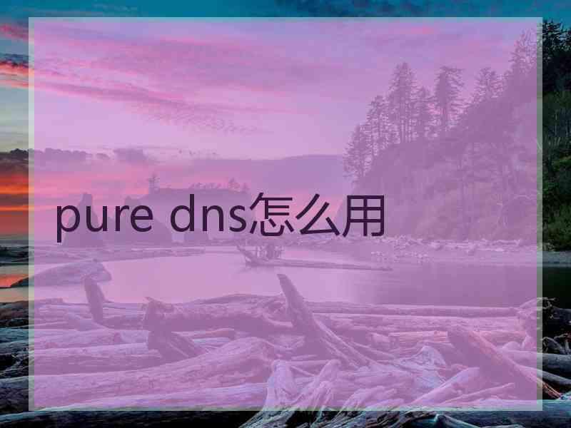 pure dns怎么用