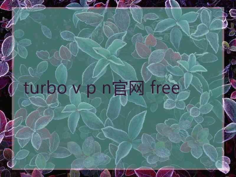 turbo v p n官网 free