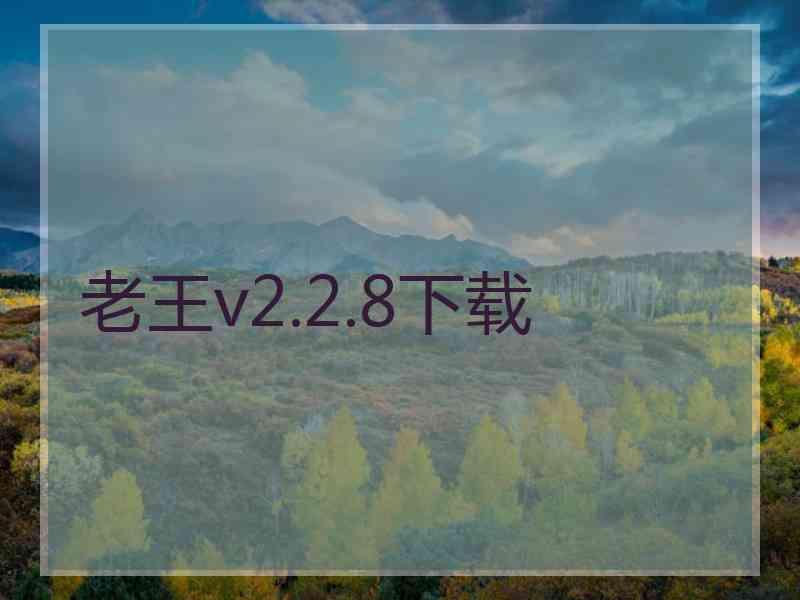 老王v2.2.8下载