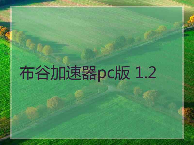 布谷加速器pc版 1.2