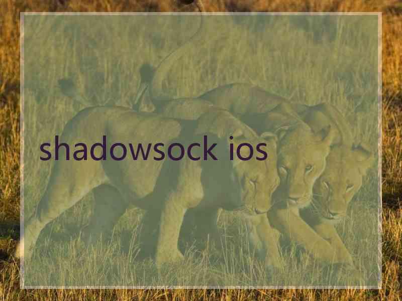 shadowsock ios