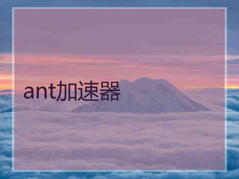 ant加速器