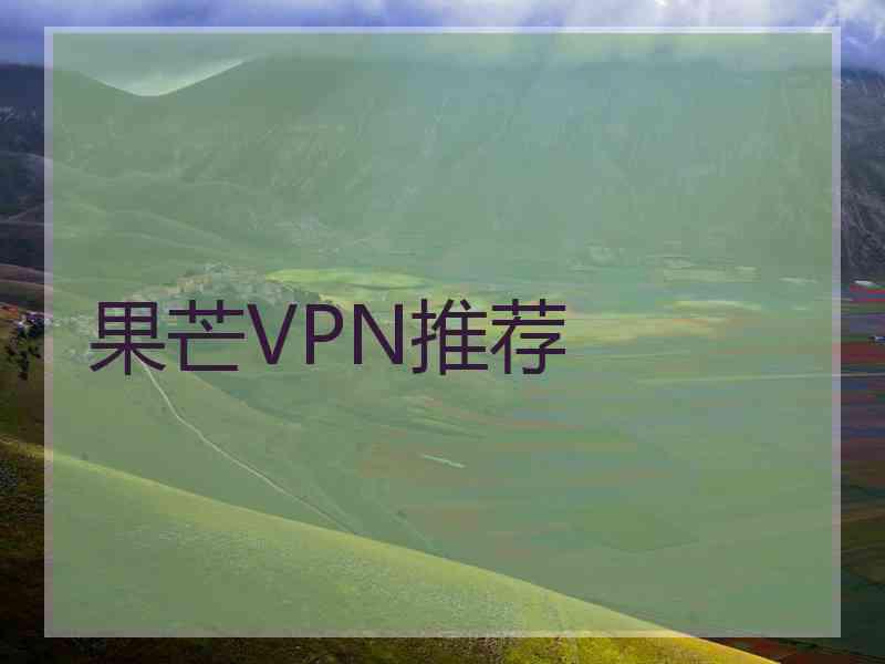 果芒VPN推荐