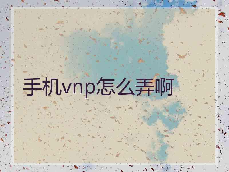 手机vnp怎么弄啊