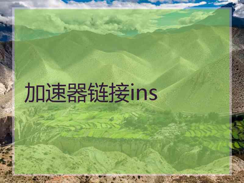 加速器链接ins