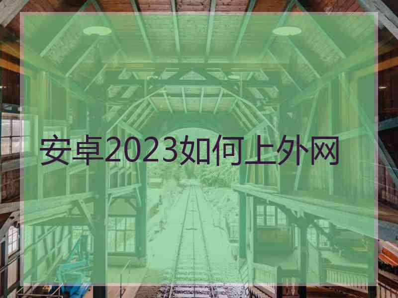 安卓2023如何上外网