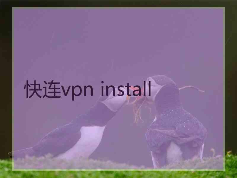 快连vpn install