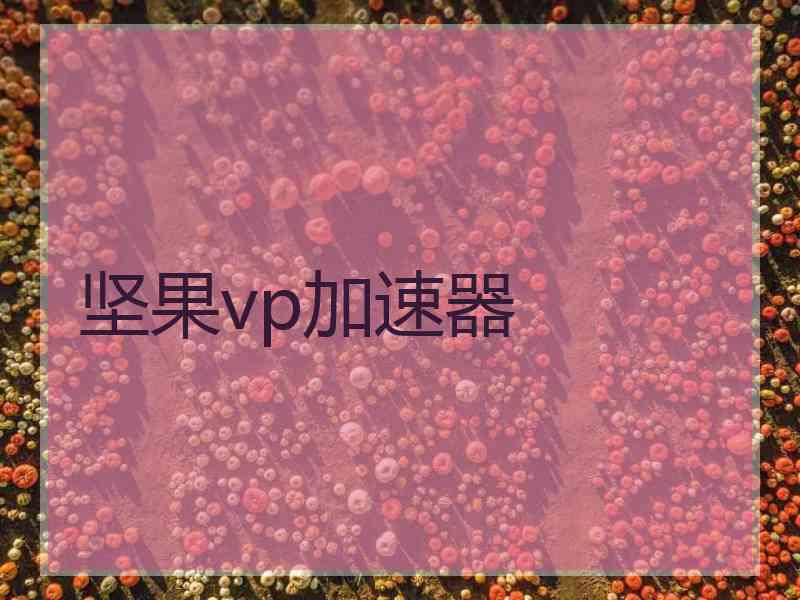 坚果vp加速器