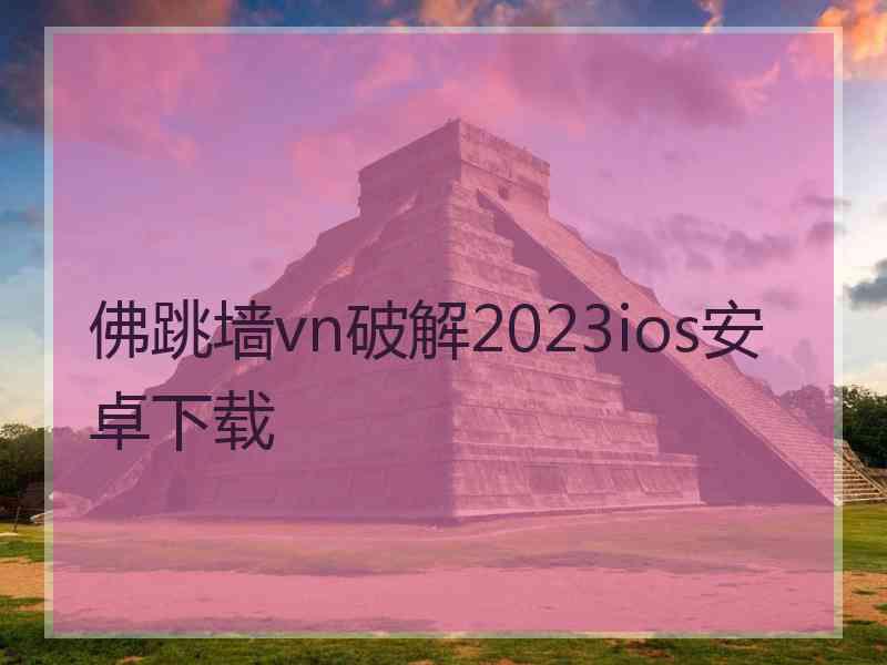 佛跳墙vn破解2023ios安卓下载