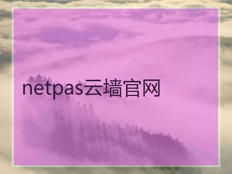 netpas云墙官网