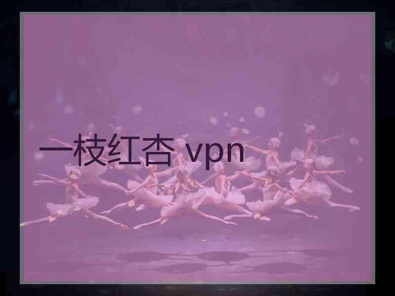 一枝红杏 vpn