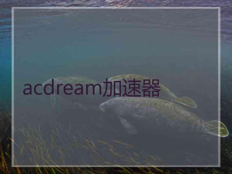 acdream加速器