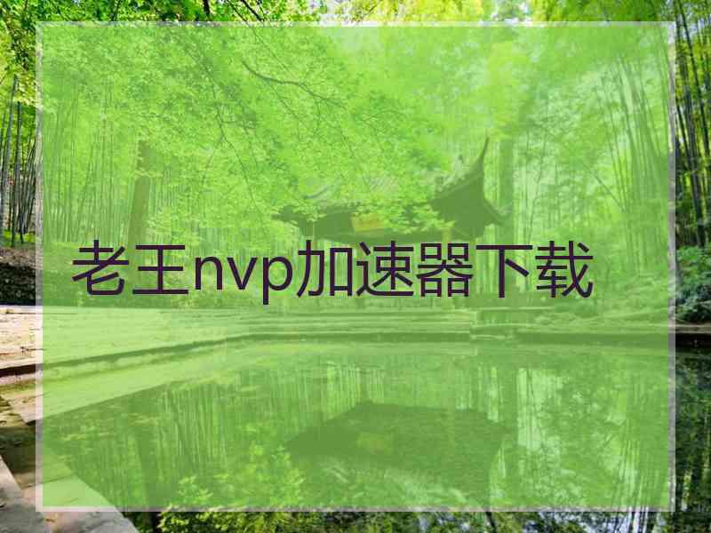 老王nvp加速器下载