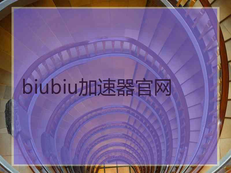 biubiu加速器官网