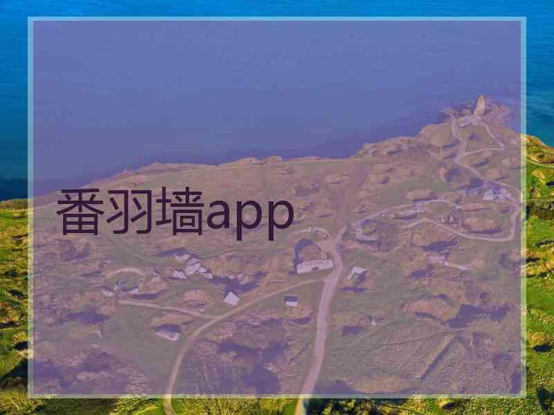 番羽墙app