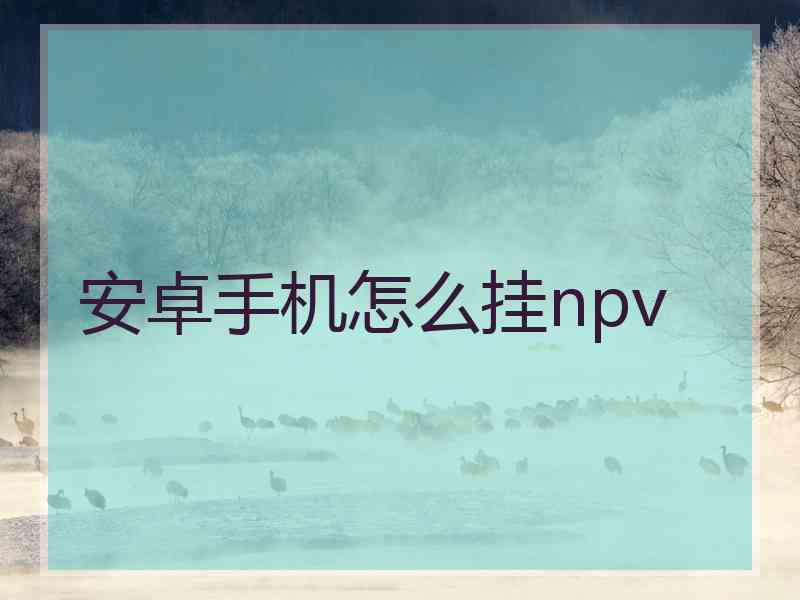 安卓手机怎么挂npv