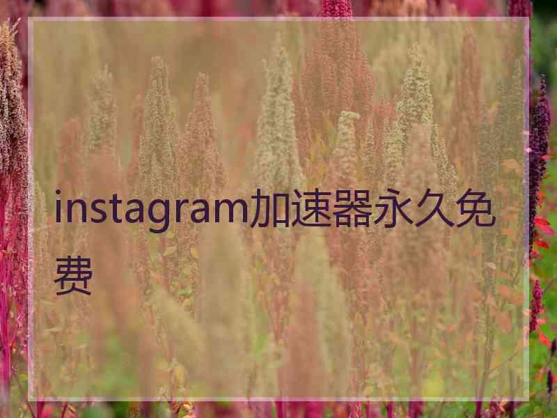 instagram加速器永久免费