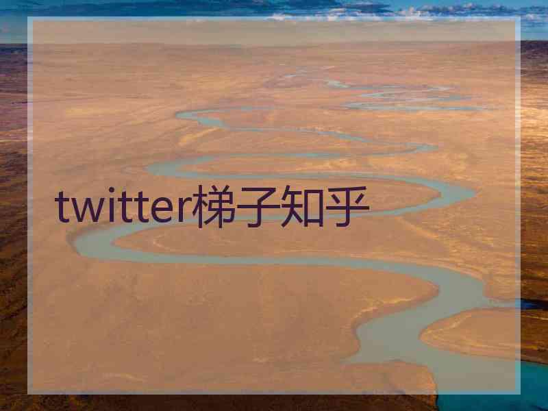 twitter梯子知乎