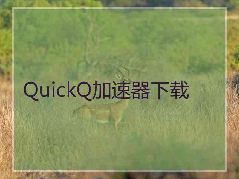 QuickQ加速器下载