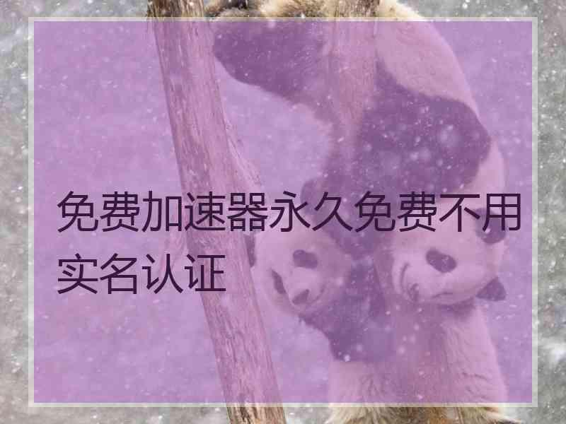 免费加速器永久免费不用实名认证