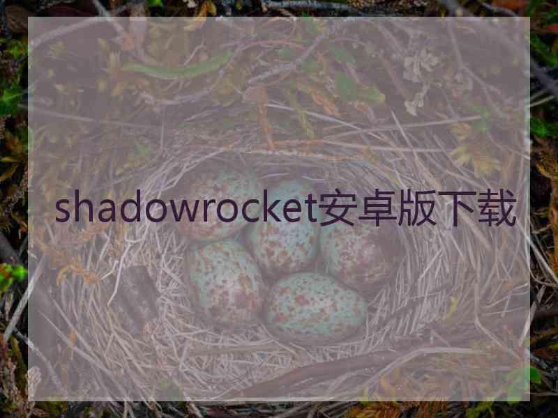 shadowrocket安卓版下载