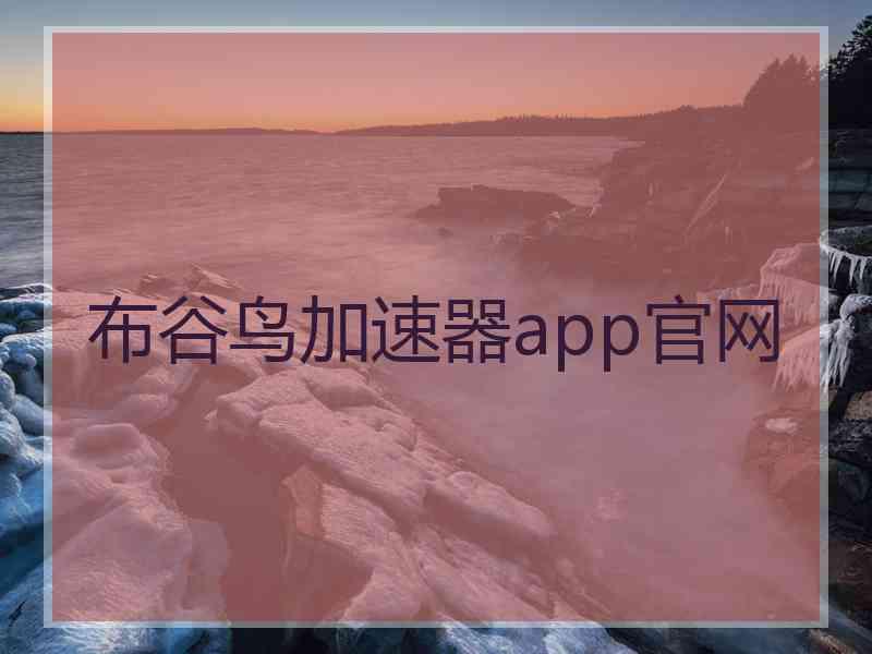 布谷鸟加速器app官网