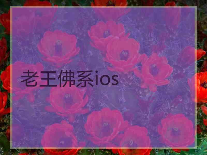 老王佛系ios