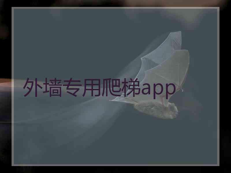 外墙专用爬梯app