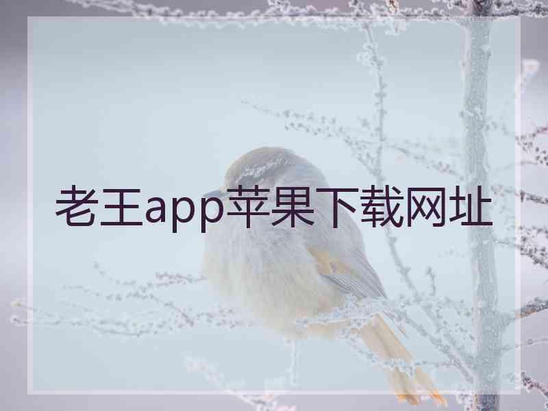 老王app苹果下载网址