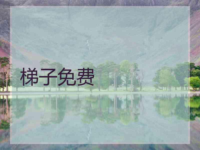 梯子免费