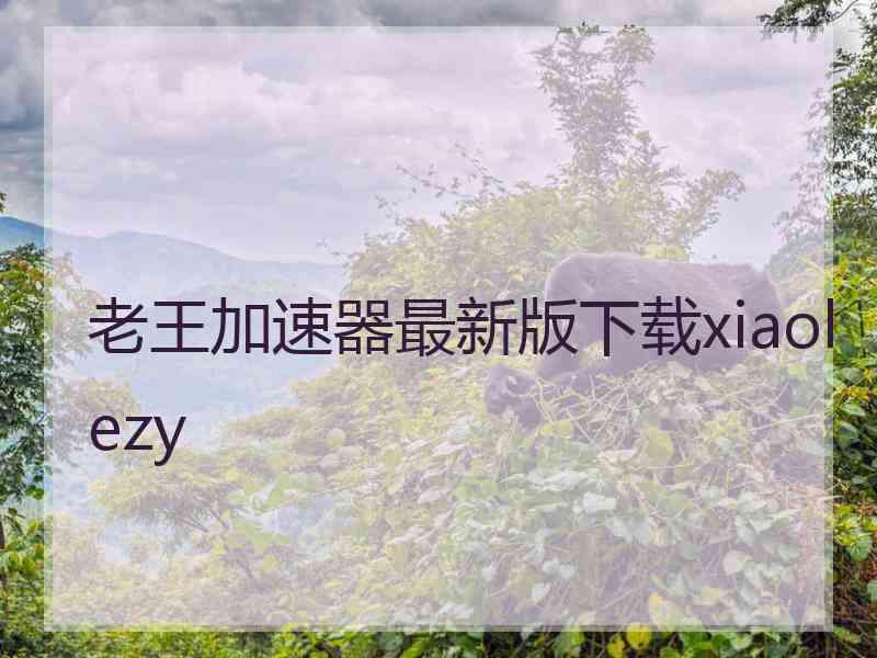 老王加速器最新版下载xiaolezy