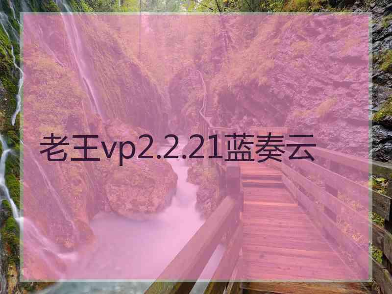 老王vp2.2.21蓝奏云