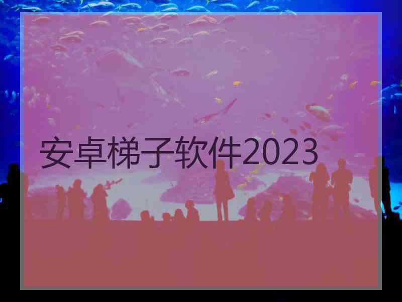 安卓梯子软件2023