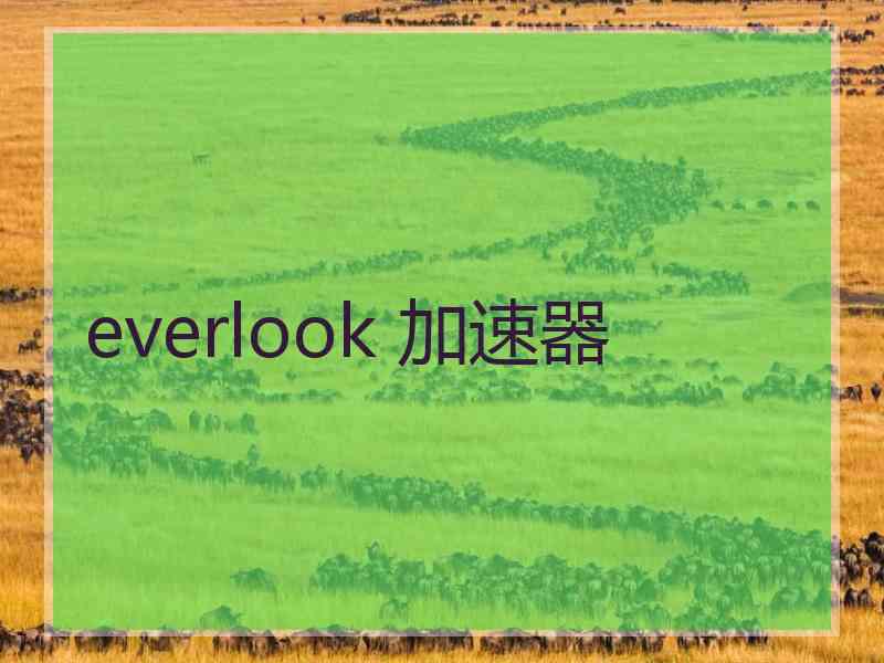 everlook 加速器