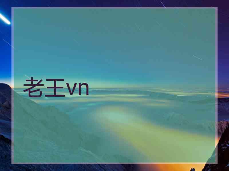 老王vn