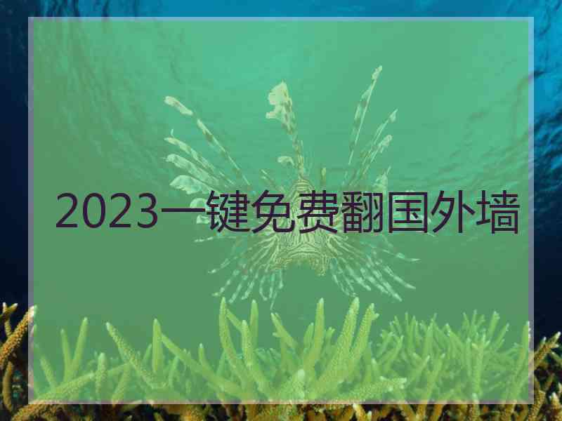 2023一键免费翻国外墙