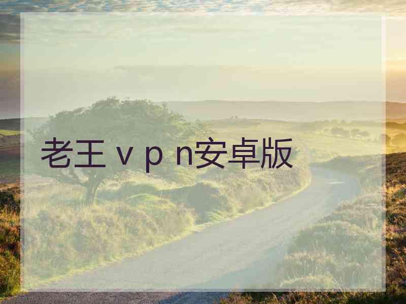 老王 v p n安卓版