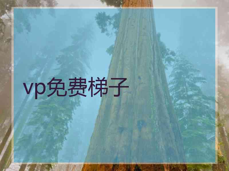 vp免费梯子