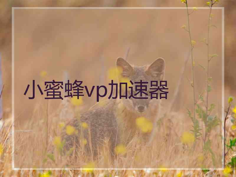 小蜜蜂vp加速器