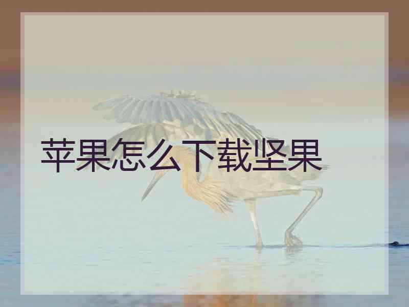 苹果怎么下载坚果