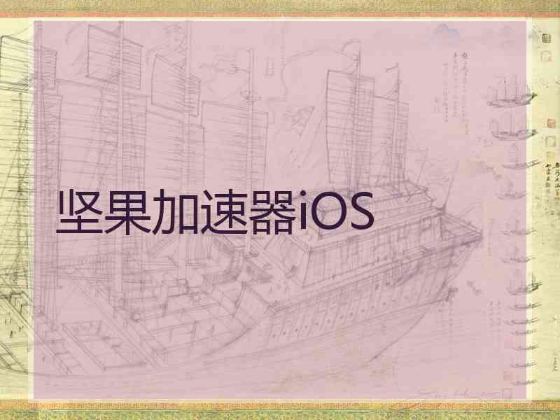 坚果加速器iOS